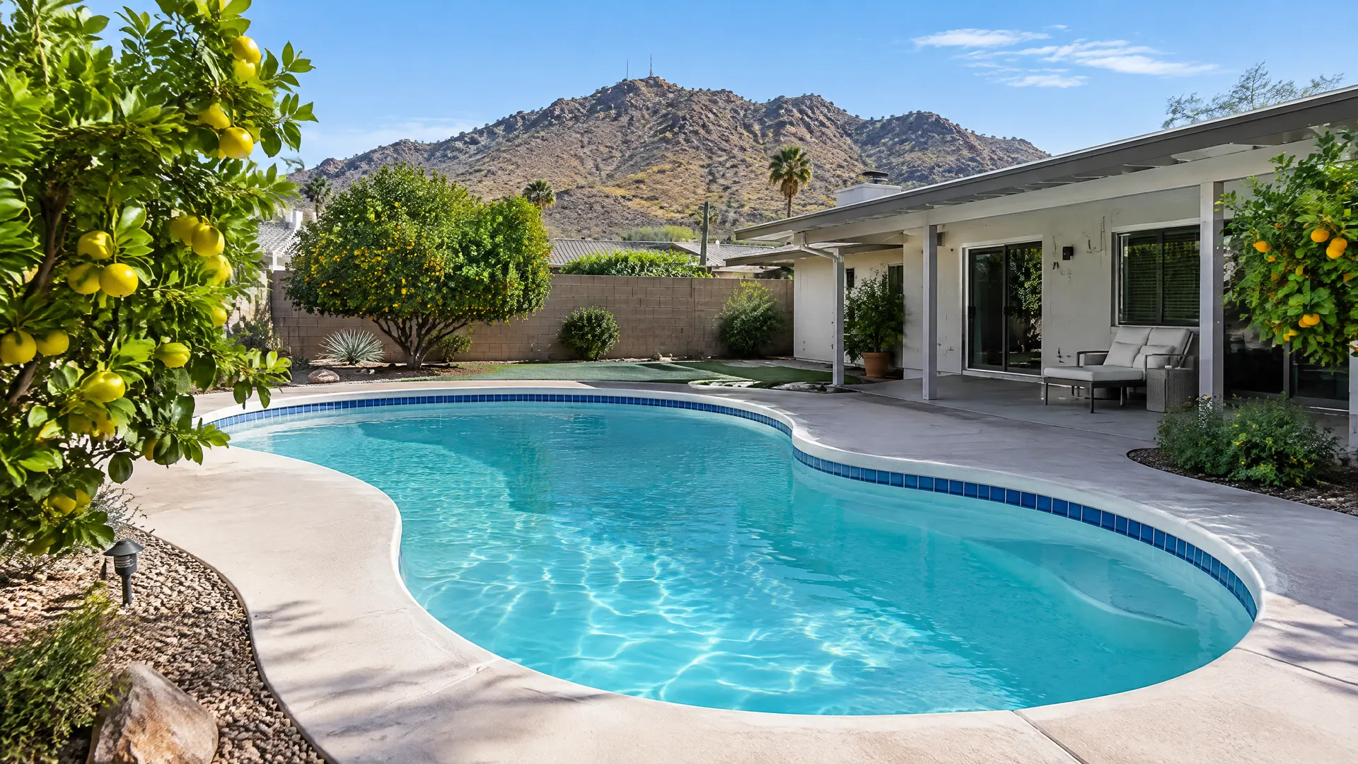 Older kidney-shaped backyard pool at a mid-century ranch house in Sunnyslope, Phoenix, Arizona, with fresh white plaster, simple blue tile band, citrus trees, and the rocky slopes of North Mountain behind the yard